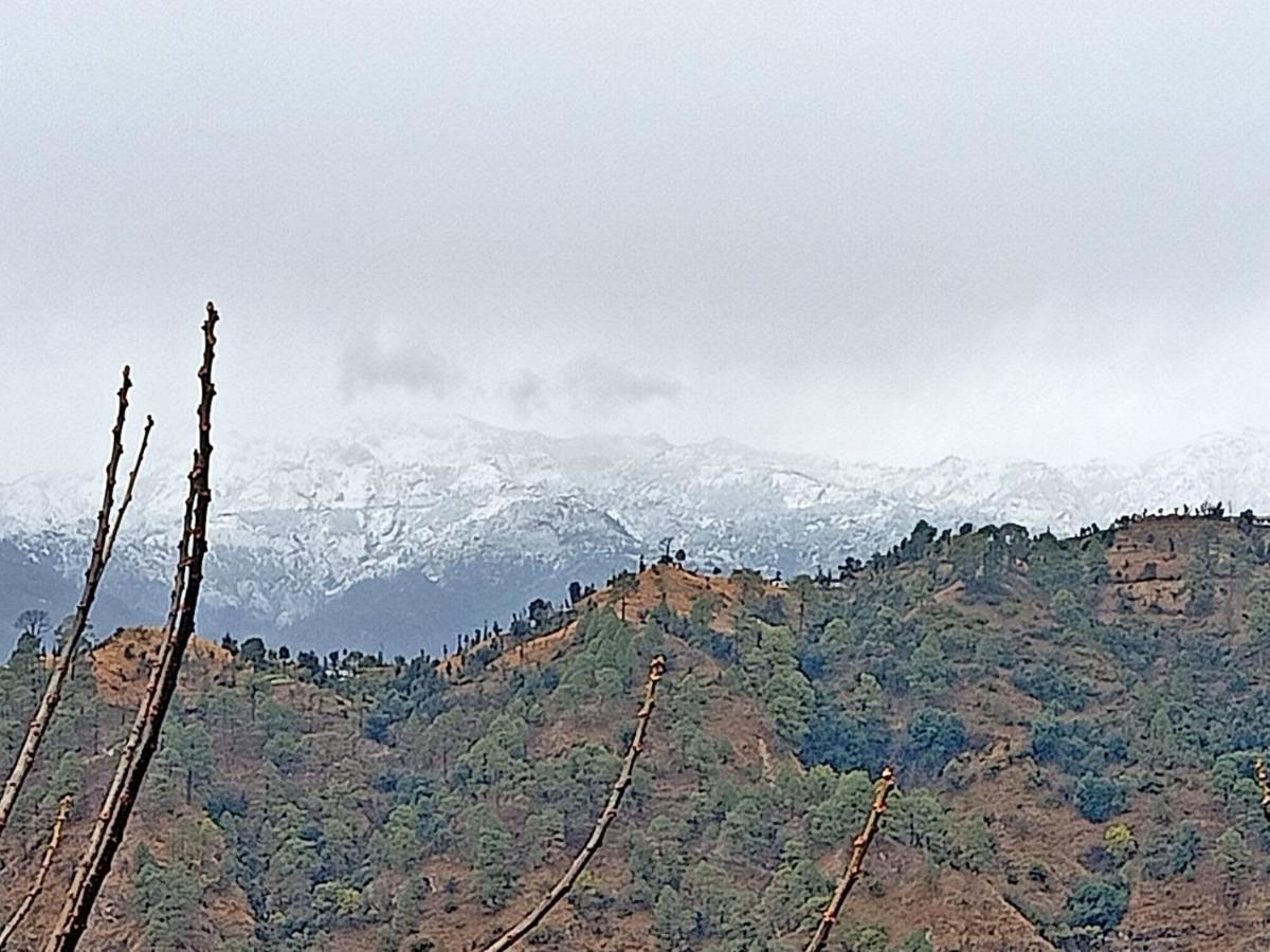 Shiva Valley Resort Kokhliyal Gaon Esterno foto